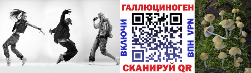 наркошоп  Валдай  Галлюциногенные грибы MAGIC MUSHROOMS 